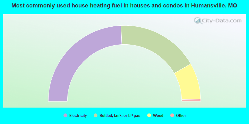Most commonly used house heating fuel in houses and condos in Humansville, MO