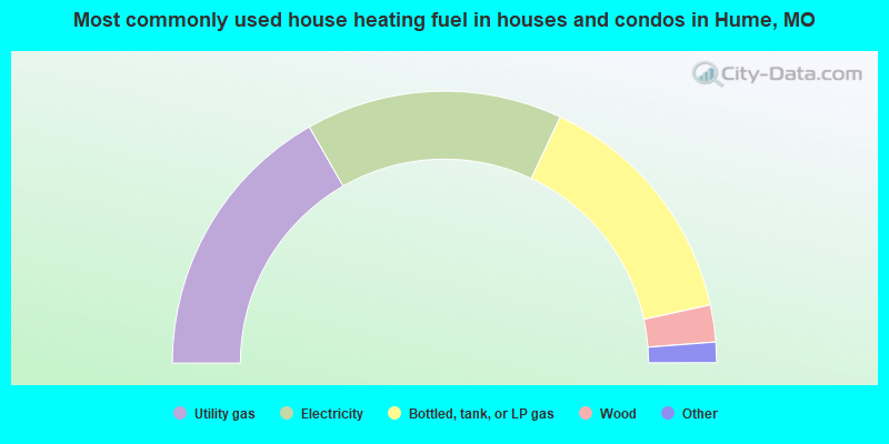 Most commonly used house heating fuel in houses and condos in Hume, MO