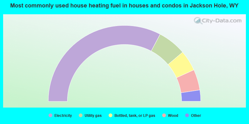 Most commonly used house heating fuel in houses and condos in Jackson Hole, WY
