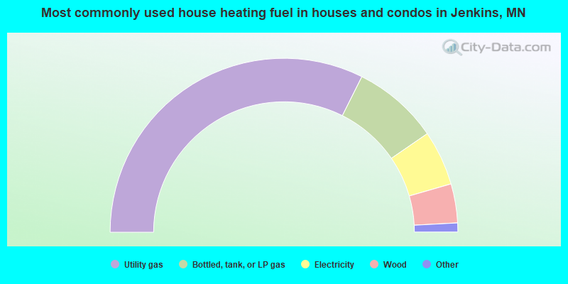 Most commonly used house heating fuel in houses and condos in Jenkins, MN
