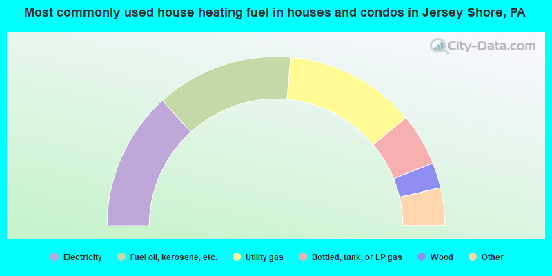 Most commonly used house heating fuel in houses and condos in Jersey Shore, PA
