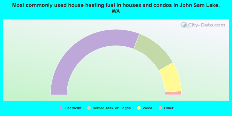 Most commonly used house heating fuel in houses and condos in John Sam Lake, WA