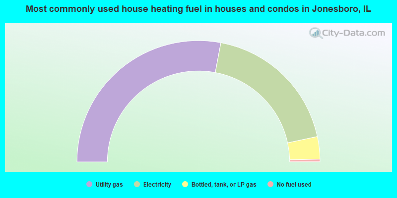 Most commonly used house heating fuel in houses and condos in Jonesboro, IL