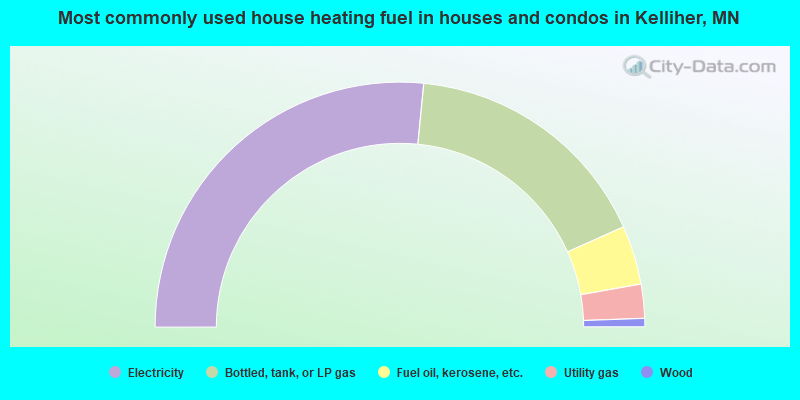 Most commonly used house heating fuel in houses and condos in Kelliher, MN