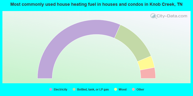 Most commonly used house heating fuel in houses and condos in Knob Creek, TN