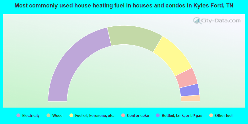 Most commonly used house heating fuel in houses and condos in Kyles Ford, TN