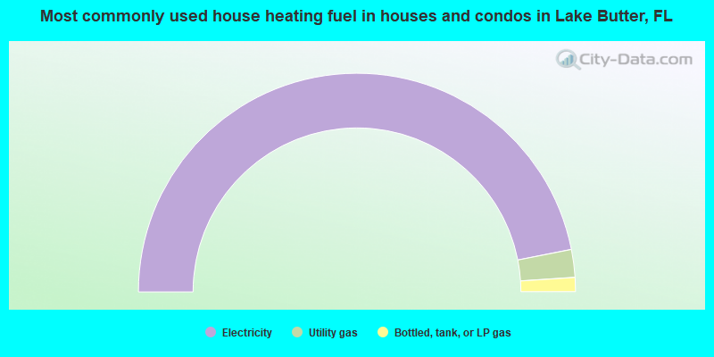 Most commonly used house heating fuel in houses and condos in Lake Butter, FL