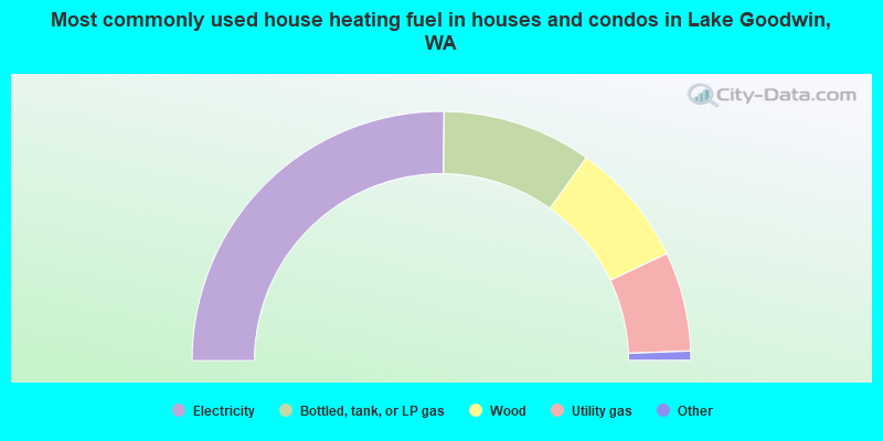 Most commonly used house heating fuel in houses and condos in Lake Goodwin, WA