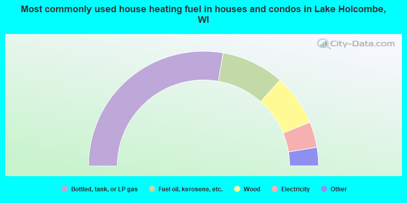 Most commonly used house heating fuel in houses and condos in Lake Holcombe, WI