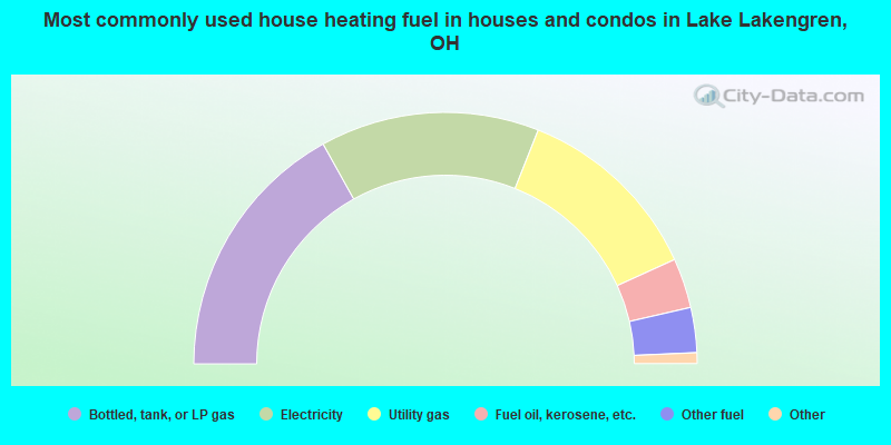 Most commonly used house heating fuel in houses and condos in Lake Lakengren, OH