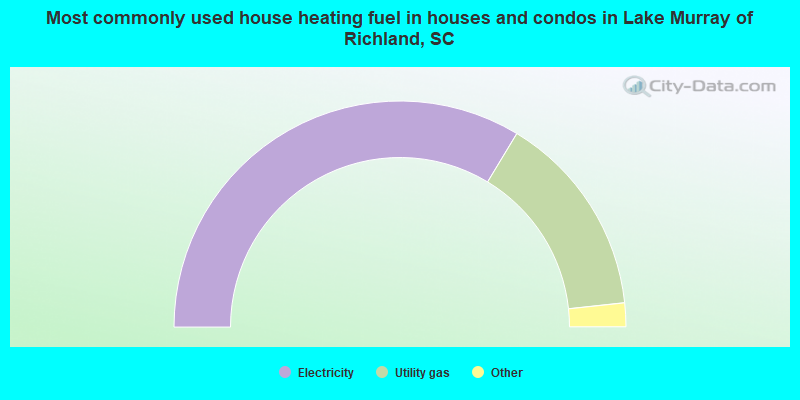Most commonly used house heating fuel in houses and condos in Lake Murray of Richland, SC