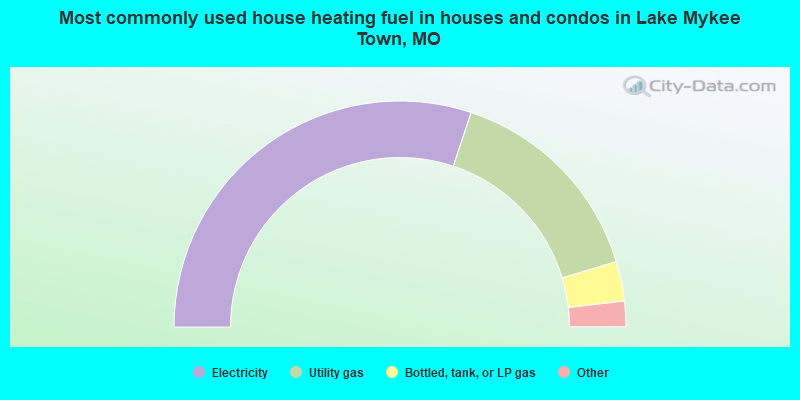 Most commonly used house heating fuel in houses and condos in Lake Mykee Town, MO