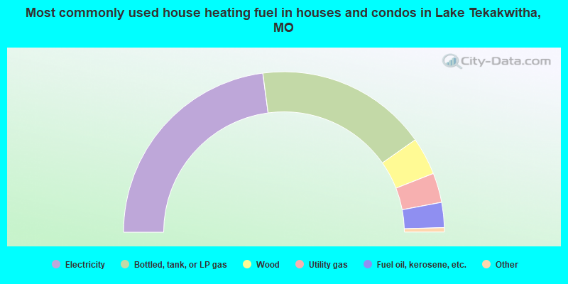 Most commonly used house heating fuel in houses and condos in Lake Tekakwitha, MO