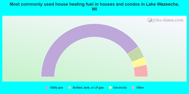 Most commonly used house heating fuel in houses and condos in Lake Wazeecha, WI
