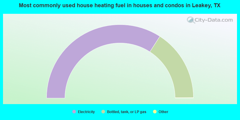 Most commonly used house heating fuel in houses and condos in Leakey, TX