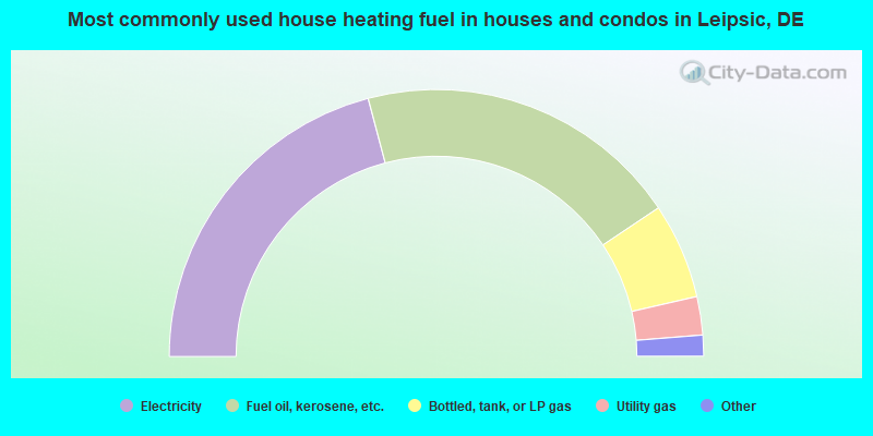 Most commonly used house heating fuel in houses and condos in Leipsic, DE