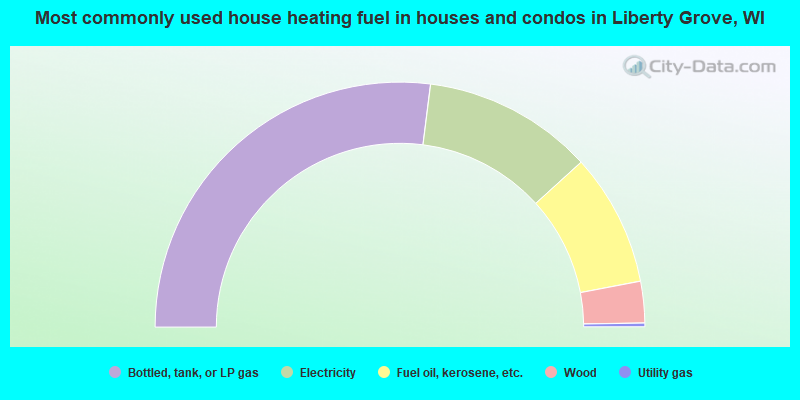 Most commonly used house heating fuel in houses and condos in Liberty Grove, WI