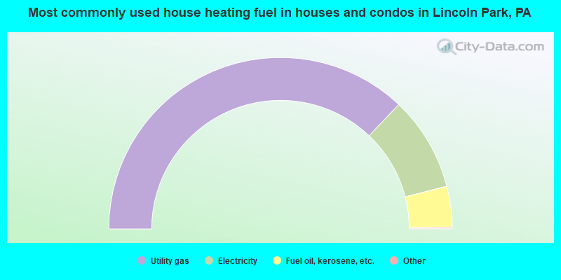 Most commonly used house heating fuel in houses and condos in Lincoln Park, PA