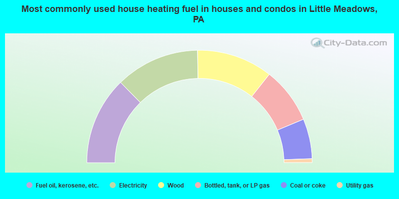 Most commonly used house heating fuel in houses and condos in Little Meadows, PA