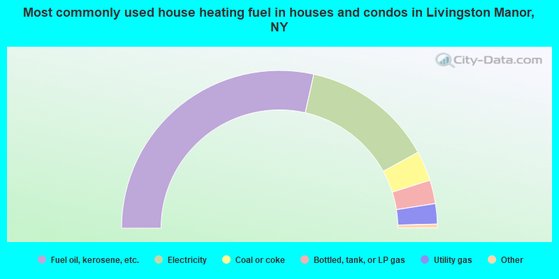 Most commonly used house heating fuel in houses and condos in Livingston Manor, NY