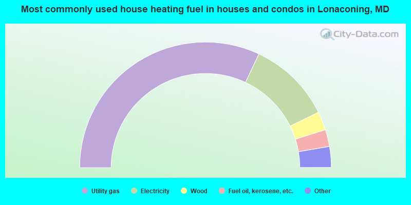 Most commonly used house heating fuel in houses and condos in Lonaconing, MD