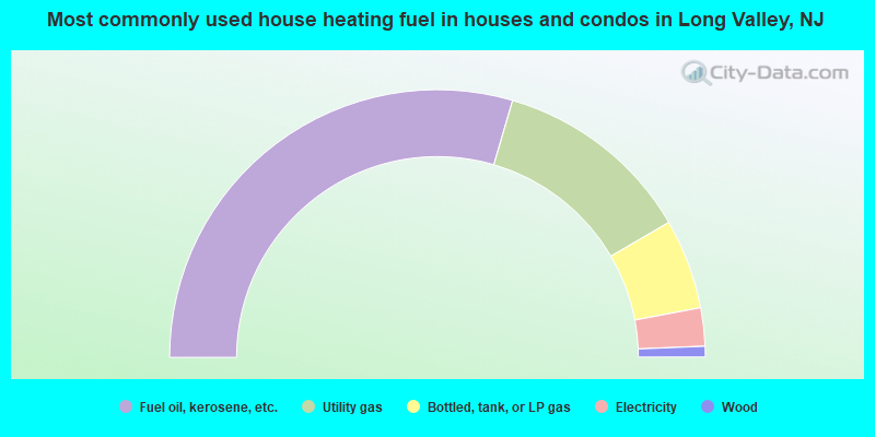 Most commonly used house heating fuel in houses and condos in Long Valley, NJ