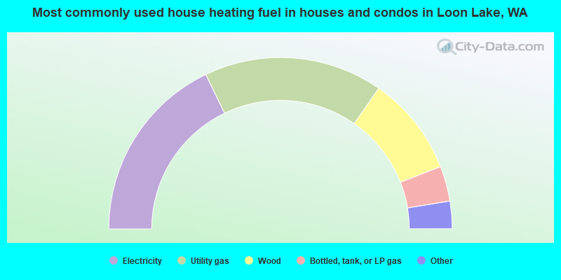 Most commonly used house heating fuel in houses and condos in Loon Lake, WA