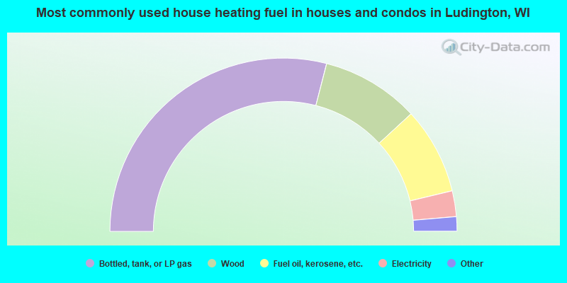 Most commonly used house heating fuel in houses and condos in Ludington, WI