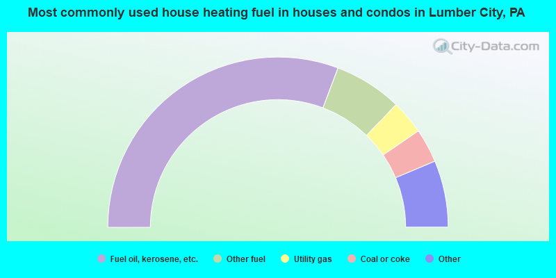 Most commonly used house heating fuel in houses and condos in Lumber City, PA
