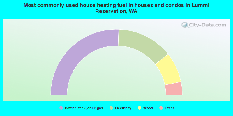 Most commonly used house heating fuel in houses and condos in Lummi Reservation, WA