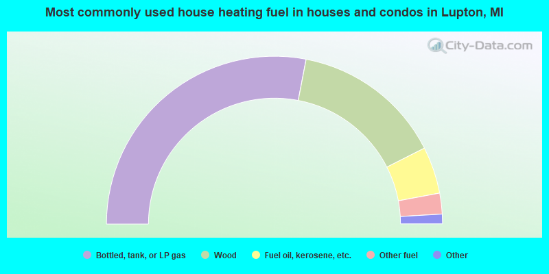 Most commonly used house heating fuel in houses and condos in Lupton, MI