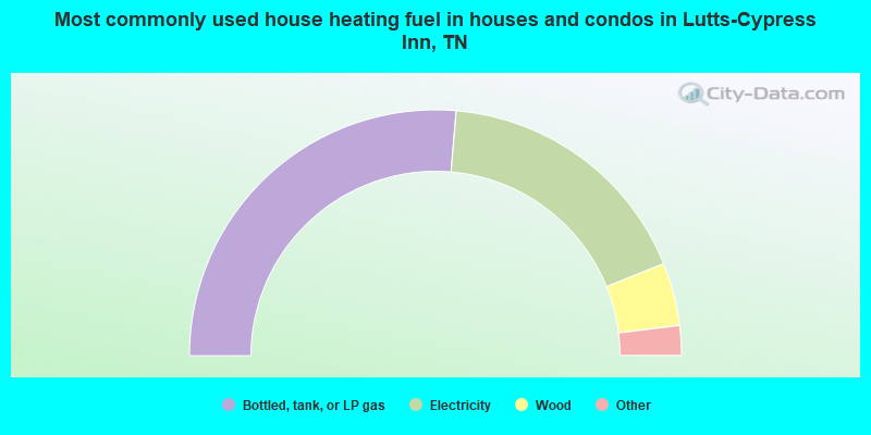 Most commonly used house heating fuel in houses and condos in Lutts-Cypress Inn, TN