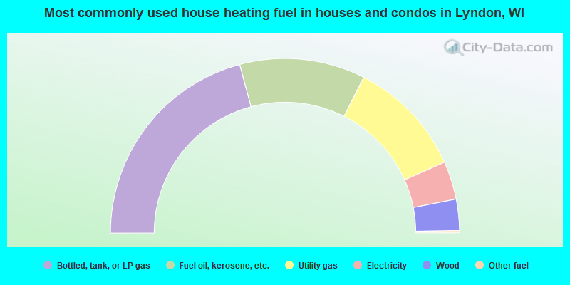 Most commonly used house heating fuel in houses and condos in Lyndon, WI