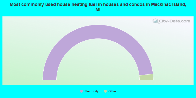 Most commonly used house heating fuel in houses and condos in Mackinac Island, MI