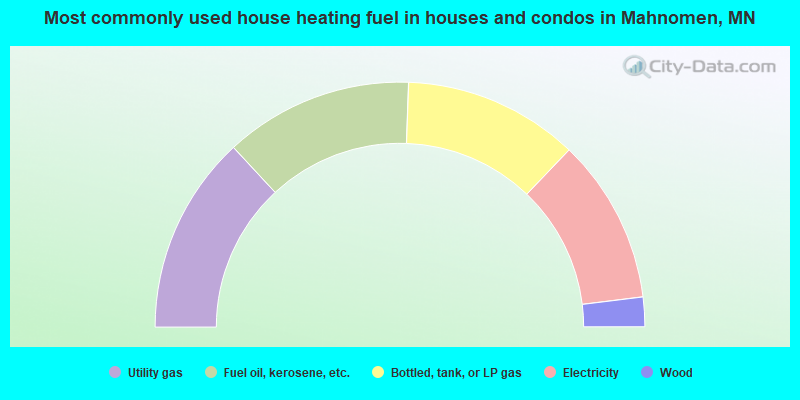 Most commonly used house heating fuel in houses and condos in Mahnomen, MN