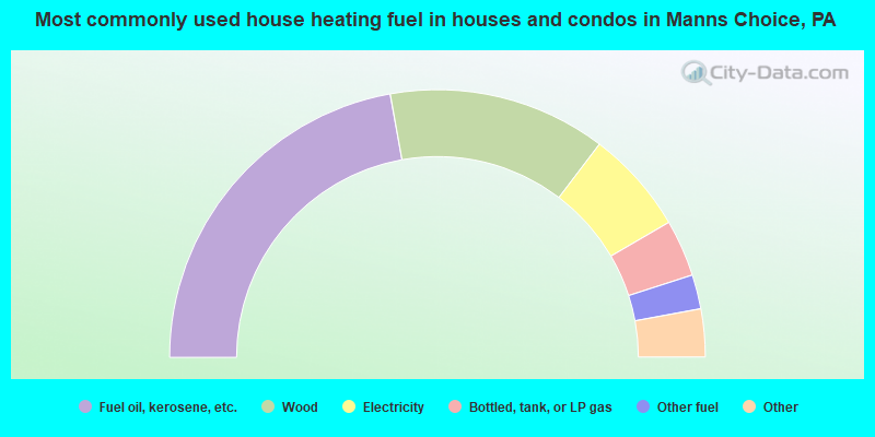 Most commonly used house heating fuel in houses and condos in Manns Choice, PA