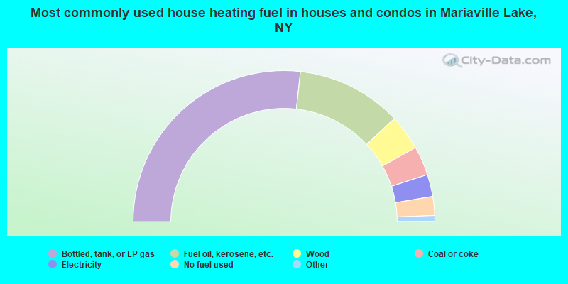 Most commonly used house heating fuel in houses and condos in Mariaville Lake, NY