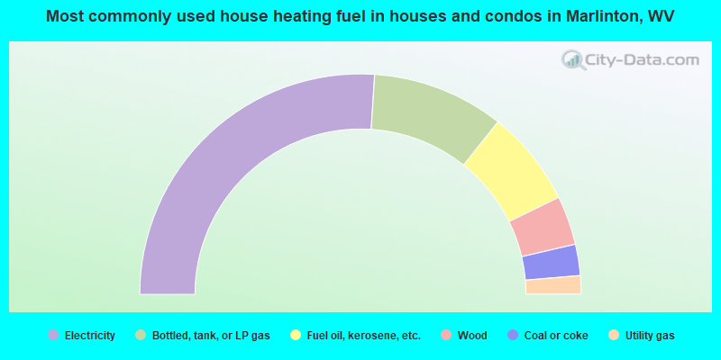 Most commonly used house heating fuel in houses and condos in Marlinton, WV