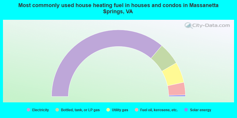 Most commonly used house heating fuel in houses and condos in Massanetta Springs, VA