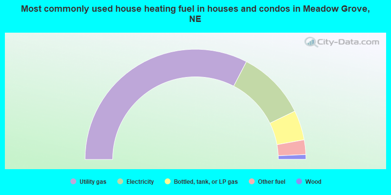 Most commonly used house heating fuel in houses and condos in Meadow Grove, NE