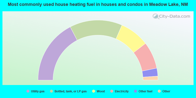 Most commonly used house heating fuel in houses and condos in Meadow Lake, NM