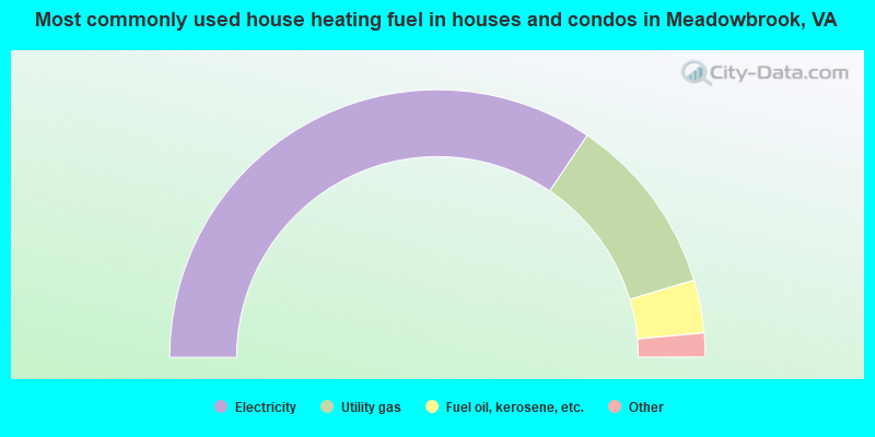 Most commonly used house heating fuel in houses and condos in Meadowbrook, VA