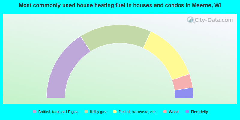 Most commonly used house heating fuel in houses and condos in Meeme, WI