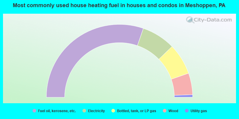 Most commonly used house heating fuel in houses and condos in Meshoppen, PA
