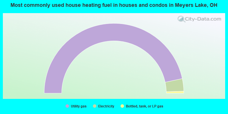 Most commonly used house heating fuel in houses and condos in Meyers Lake, OH