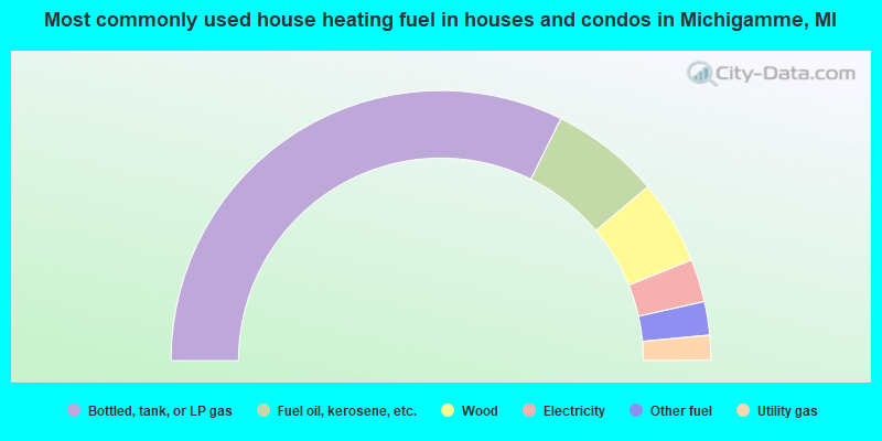 Most commonly used house heating fuel in houses and condos in Michigamme, MI