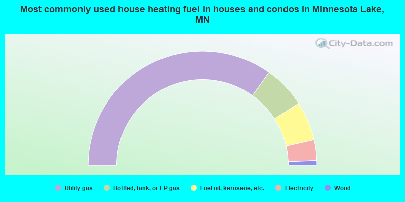 Most commonly used house heating fuel in houses and condos in Minnesota Lake, MN