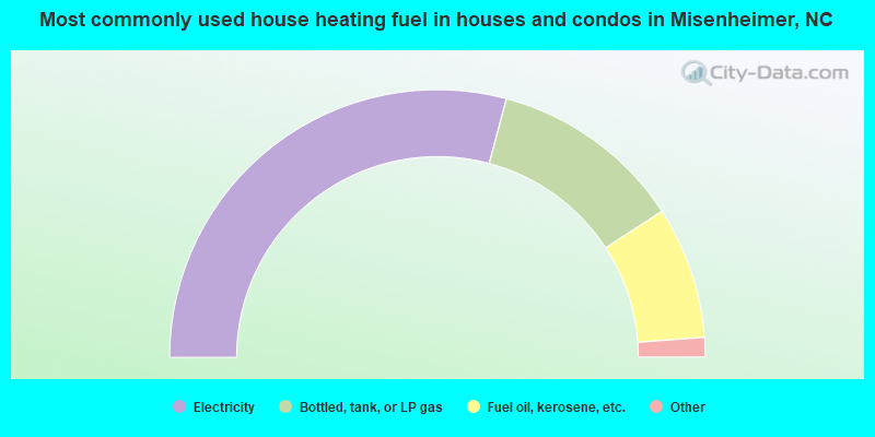 Most commonly used house heating fuel in houses and condos in Misenheimer, NC