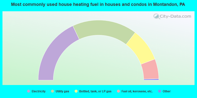 Most commonly used house heating fuel in houses and condos in Montandon, PA