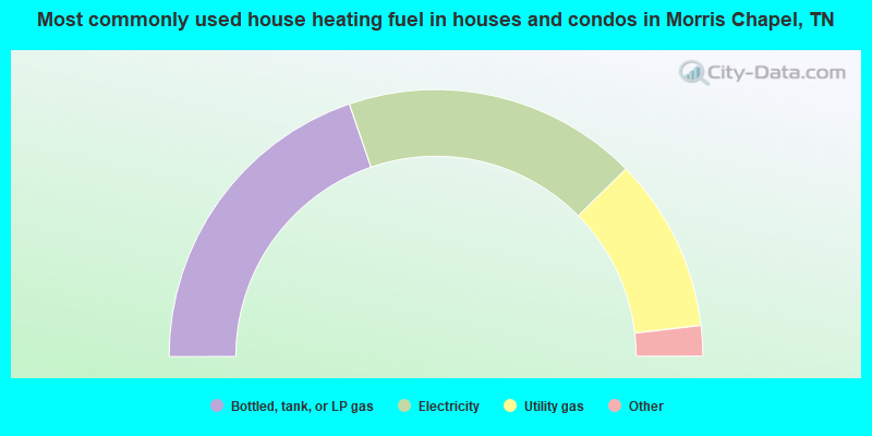 Most commonly used house heating fuel in houses and condos in Morris Chapel, TN